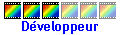 Développeur(se)|Développeur|Développeuse